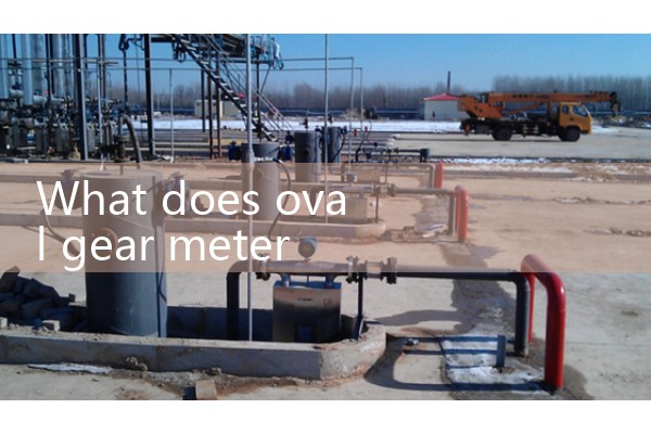 oval gear meter